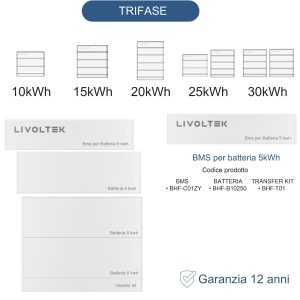 BMS PER BATTERIA TRIFASE RESIDENZIALE LIVOLTEK AL LITIO DA 5kWh  (ALTA TENSIONE) (Copia)