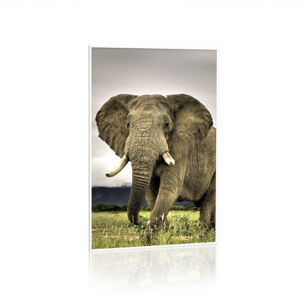 600WATT PANNELLO INFRAROSSI RADIANTE STAMPATI 60X90