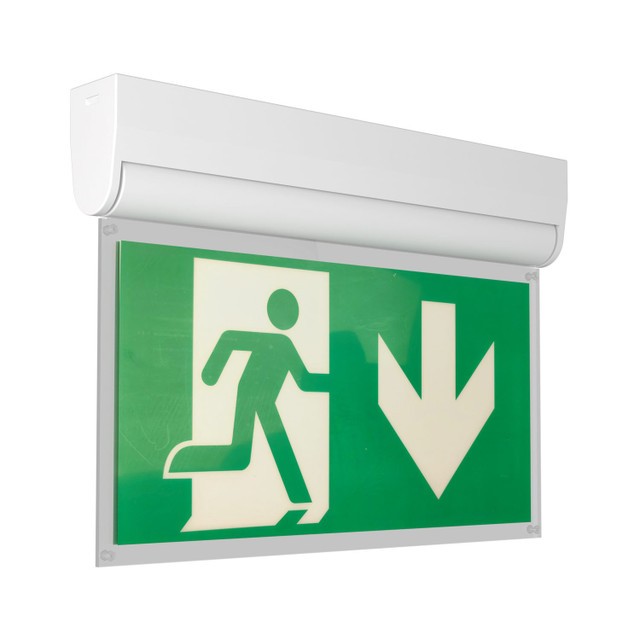 Lampada Emergenza a Bandiera, 3h, S.E S.A Cinema Mode - Bianca o Nera Bianco Freddo 6.000K